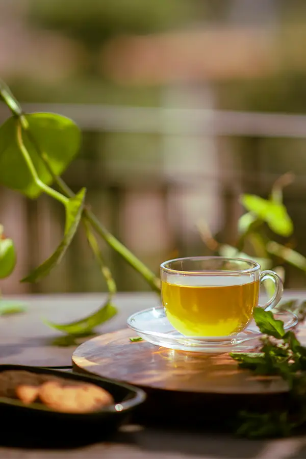 Green Tea (Organic)