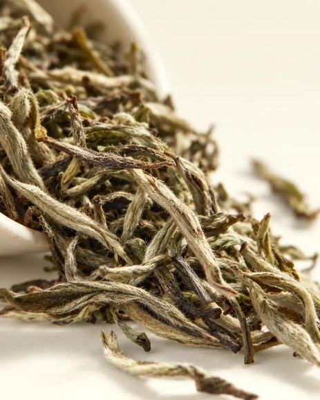 ⁠Silver Tips( ORGANIC) White Tea Darjeeling 100gms